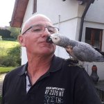 Bernd Auf Tanz Partnersuche in Pfullendorf