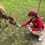 Andrea Auf Tanz Partnersuche in Freiberg