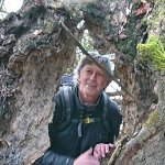 Peter Maurer Auf Tanz Partnersuche in Bühlertal